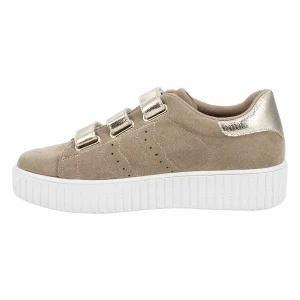 CL11 CL49 KAKI VERT 13