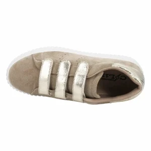 CL11 CL49 KAKI VERT 15