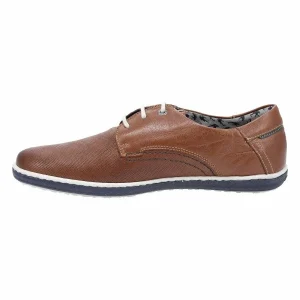 Fluchos 9706 PEGASO LIBANO MARRON 13