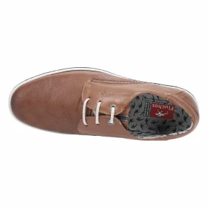 Fluchos 9706 PEGASO LIBANO MARRON 15