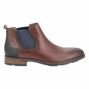 Lloyd JASER BRANDY MARRON 11
