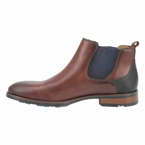 Lloyd JASER BRANDY MARRON 13
