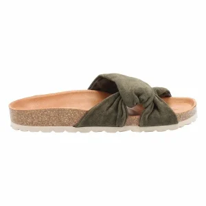 Verbenas ROMA KAKI VERT 11