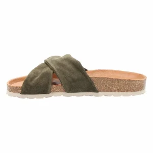 Verbenas ROMA KAKI VERT 13