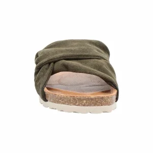 Verbenas ROMA KAKI VERT 21
